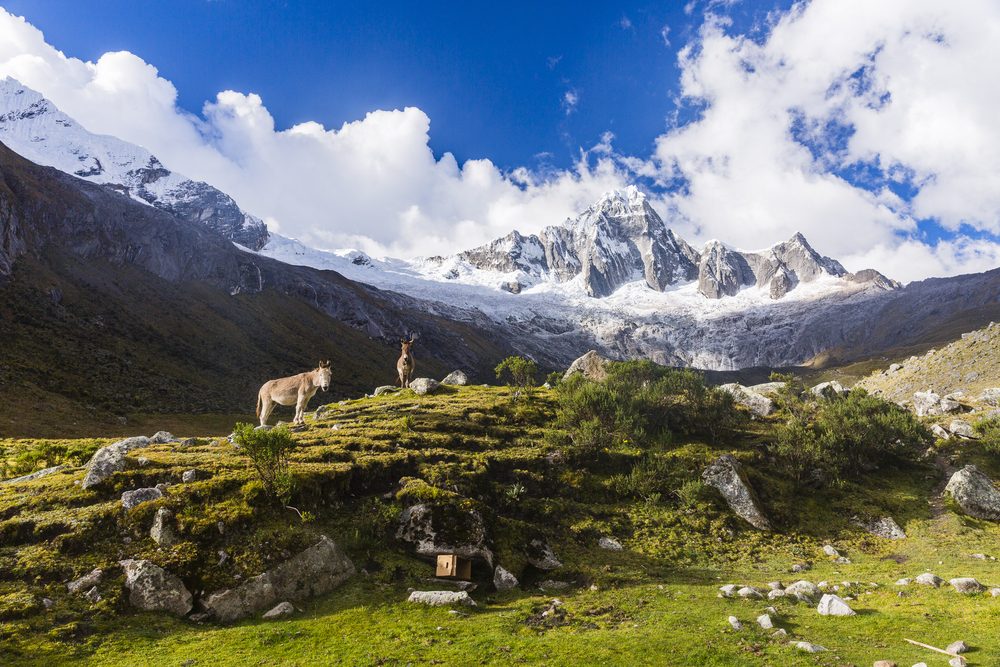 Huascaran national online park